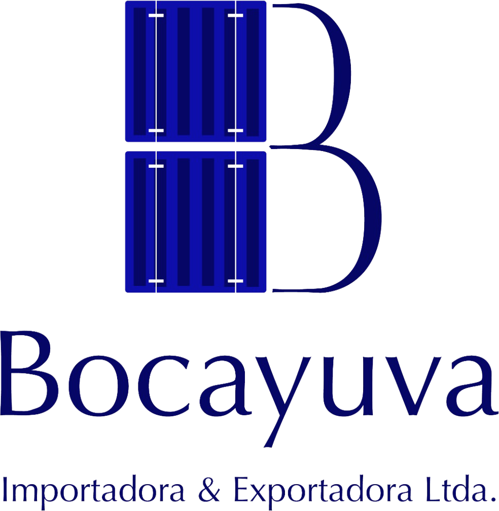 Logo Bocayuva